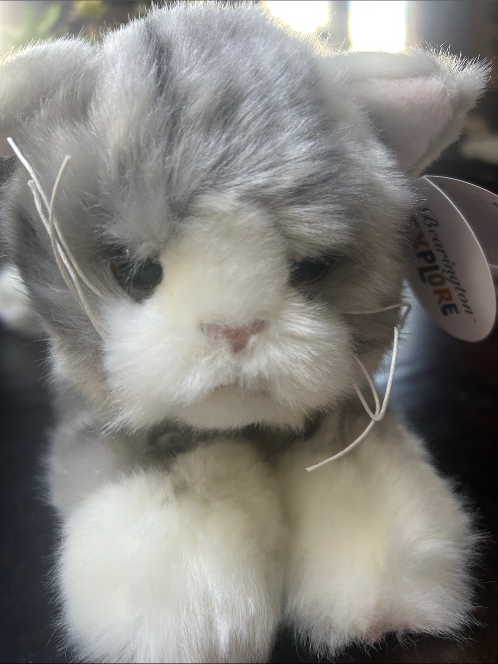 Bearington Explore 13" Grey & Cream Plush Cat Stuffed Animal -Soft Cuddly Kitten